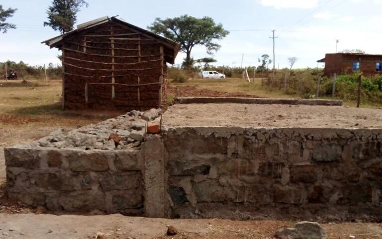The school foundations